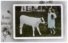 Girl about to milk a cow, greetings card, c1890-1910(?). Artist: Unknown