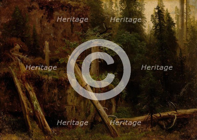 Landscape Study with decaying Trees, probably 1851. Creator: Herman August Cappelen.