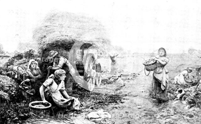 Pictures from the New Gallery: Potato Harvest, Malvern Hills - John Parker, 1895. Creator: George Meisenbach.