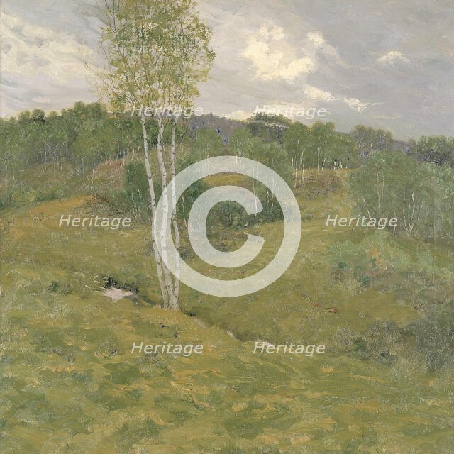 Birch-Clad Hills, ca. 1908. Creator: Ben Foster.