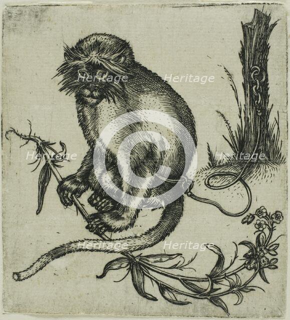 A Chained Monkey, 1559/1596. Creator: Franz Brun.