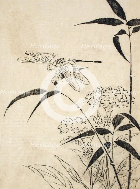 Dragonfly, Coxcomb and Bamboo, Printed 1762. Creator: Miyazaki Yuzen.