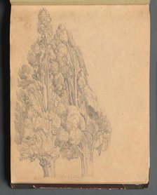 Album with Views of Rome and Surroundings, Landscape Studies, page 13a: Trees. Creator: Franz Johann Heinrich Nadorp (German, 1794-1876).