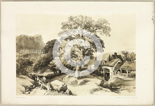 Ash and Oak, from The Park and the Forest, 1841. Creator: James Duffield Harding.