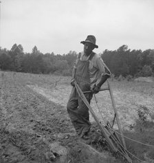 Negro plowing corn, on dirt road from Highway 144, Person County, North Carolina, 1939. Creator: Dorothea Lange.