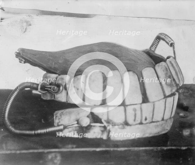 George Washington's teeth, between c1910 and c1915. Creator: Bain News Service.