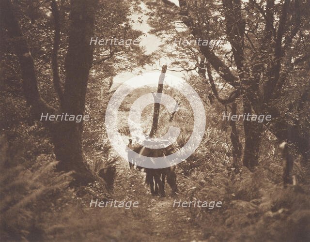 On Milford track. From the album: Camera Pictures of New Zealand, 1920s. Creator: Harry Moult.