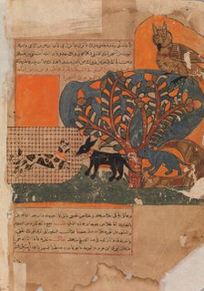 The Trapped Cat and the Frightened Mouse (Rat ?), Folio from a Kalila wa Dimna, 18th century. Creator: Unknown.