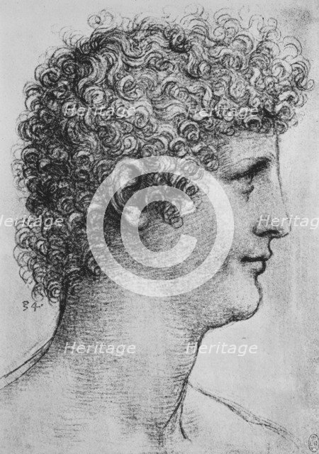 'Head of a Youth in Profile to the Right', c1480 (1945). Artist: Leonardo da Vinci.