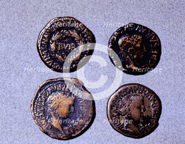 Roman coins from the first half of the first century AC (14-37) and the issuing authority was Tib…