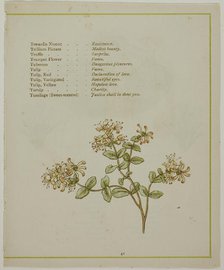 Valerian Through Volkamenia, from The Illuminated Language of Flowers, published 1884. Creators: Edmund Evans, Catherine Greenaway.