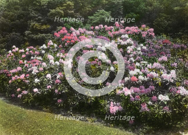 George Fisher Baker house, Tuxedo Park, New York, c1913. Creator: Frances Benjamin Johnston.