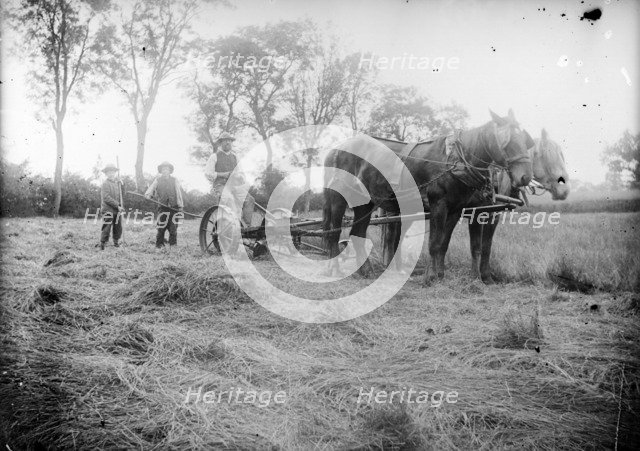 A horse drawn cross-cut mower in action near Hellidon, Northamptonshire, c1873-c1923. Artist: Alfred Newton & Sons