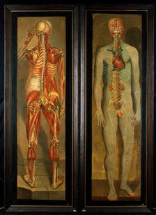 A standing dissected man showing the viscera and blood vessels, with a separate figure of the... Creator: Jacques Fabian Gautier Dagoty.
