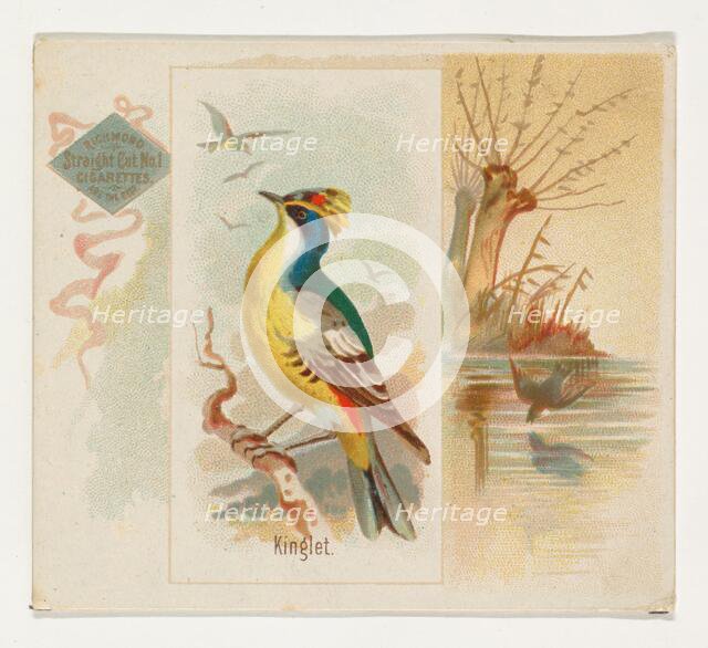 Kinglet, from the Song Birds of the World series (N42) for Allen & Ginter Cigarettes, 1890. Creator: Allen & Ginter.