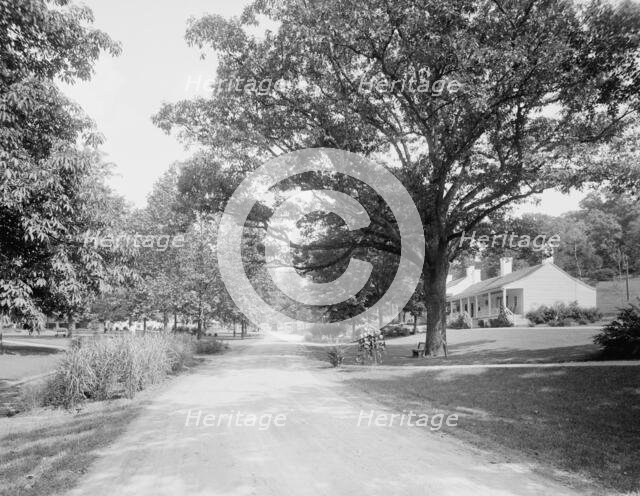 White Sulphur Springs, W. Va., the west approach, c.between 1910 and 1920. Creator: Unknown.