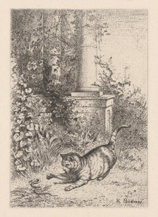 A Domestic Cat Playing with a Garter Snake, ca. 1860. Creator: Karl Bodmer.