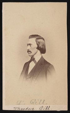 Portrait of Theodore Nicholas Gill (1837-1914), Between 1865 and 1870. Creators: Henry Ulke, Theodore Nicholas Gill.