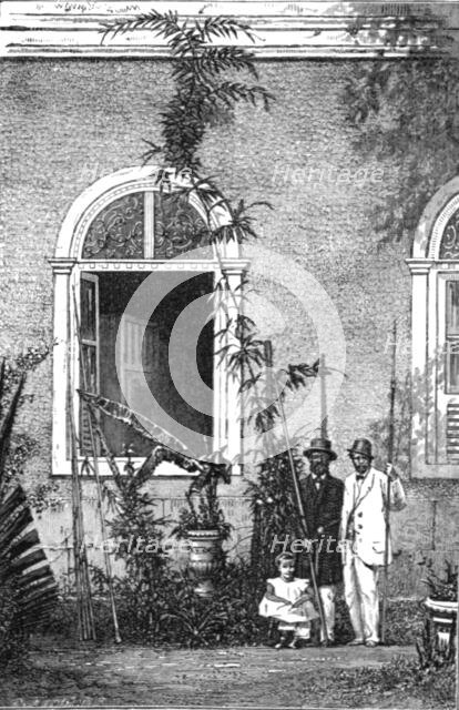 'Young Climbing-palm at a country house near Rio Janeiro; The Climbing Palm-tree, (Desmoncus)', 1875 Creator: Unknown.