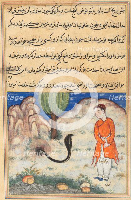 Page from Tales of a Parrot (Tuti-nama): Thirty-seventh night: The prince..., c. 1560. Creator: Unknown.