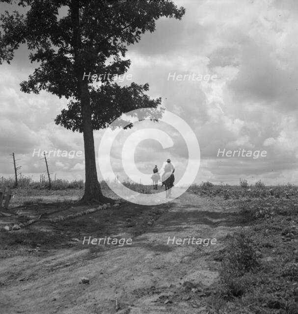 Sons of Negro tenant farmer go off visiting on Saturday..., Granville County, North Carolina, 1939. Creator: Dorothea Lange.
