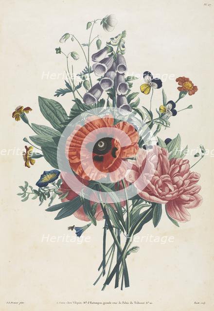 Collection of Flowers and Fruits Painted after Nature: Bouquet of Foxglove, Clematis..., 1805. Creator: Louis Charles Ruotte (French, 1754-1806); Jean Louis Prévost.