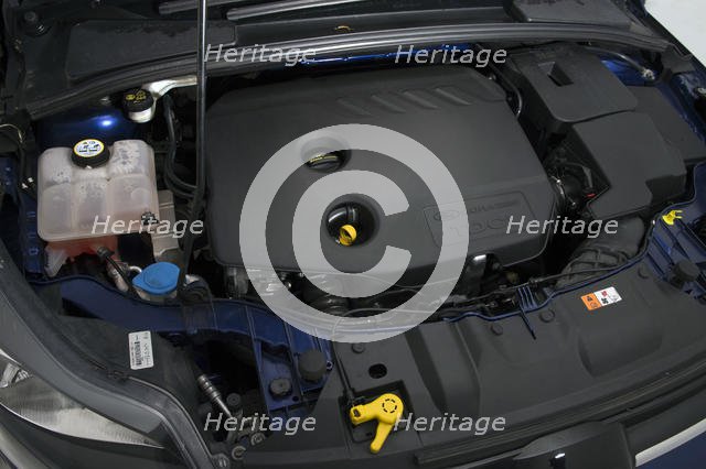 2014 Ford Focus. Creator: Unknown.