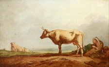 Cows at Pasture, c1800. Creator: Jacob van Strij.