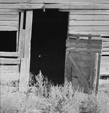 Weeds crowd the barn door abandoned in Columbian Basin, Grant County, Washington, 1939. Creator: Dorothea Lange.