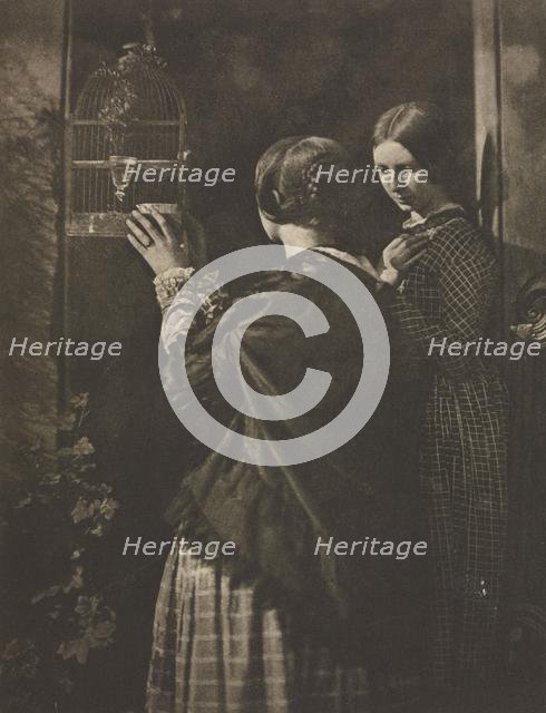 Camera Work: The Bird-Cage, 1909. Creator: David Octavius Hill (British, 1802-1870); Robert Adamson (British, 1821-1848), and.