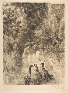 Canards surpris, 1882. Creator: Felix Bracquemond.