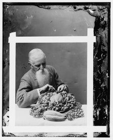 Hendley, John. Wax worker, Agriculture Dept. (His art died with him), between 1890 and 1910. Creator: Unknown.