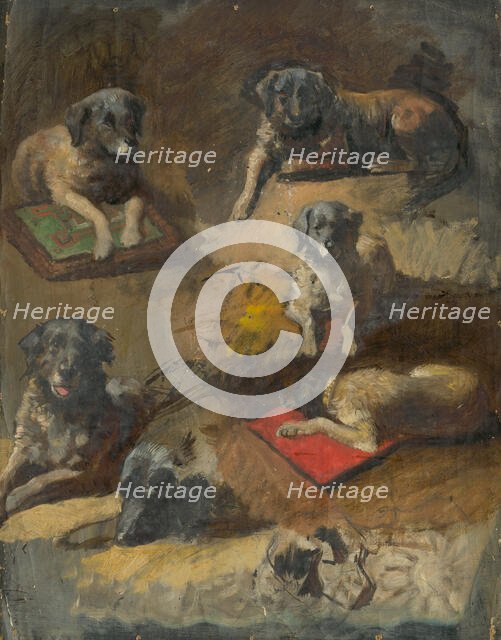 Study of a Dog, 1860-1900. Creator: Jan Nowopacký.