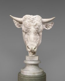 Head of a Bull, 1824. Creator: Gaetano Monti.