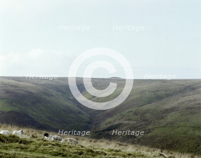 Wood Barrow, Exmoor, Somerset, 1999. Artist: EH/RCHME staff photographer