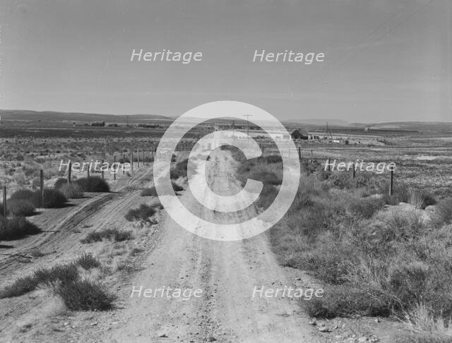 Section of lone road approaching the Schroeder place, Dead Ox Flat, Malheur County, Oregon, 1939. Creator: Dorothea Lange.