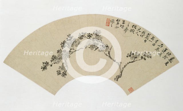 Apricot, 19th century. Creator: Wu Xizai.