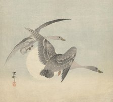 Two geese in flight. Creator: Ohara, Koson (1877-1945).