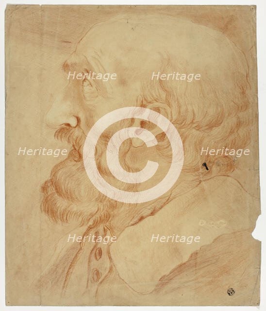 Head of Bearded Man in Profile, n.d. Creator: Unknown.