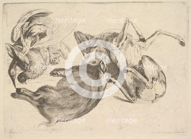 Boar, deer, heron and other game, 1625-77. Creator: Wenceslaus Hollar.