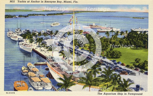 Yachts at anchor in Biscayne Bay, Miami, Florida, USA, 1938. Artist: Unknown