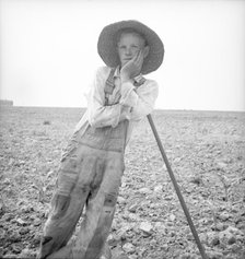 Hoe culture in the South - poor white, North Carolina, 1936. Creator: Dorothea Lange.