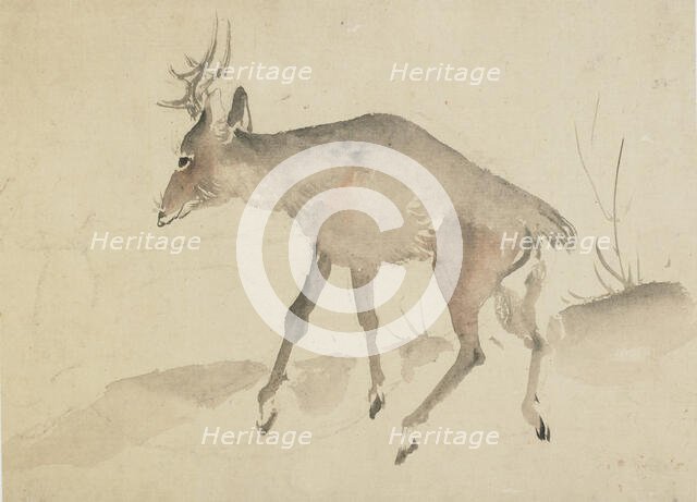 Deer, late 18th-early 19th century. Creator: Hokusai.