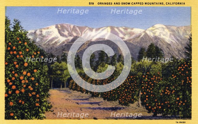 'Oranges and Snow-Capped Mountains, California', postcard, 1931. Artist: Unknown