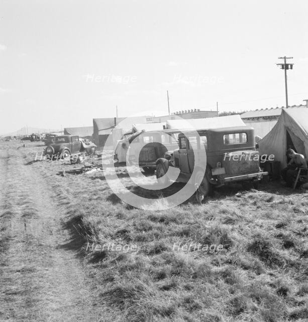 Living conditions for migrant potato pickers, Tulelake, Siskiyou County, California, 1939. Creator: Dorothea Lange.