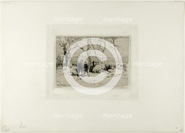 Sheep, 1868. Creator: Charles Emile Jacque.