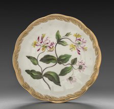 Bowl from Dessert Service: Dutch Honeysuckle, c. 1800. Creator: Derby (Crown Derby Period) (British).