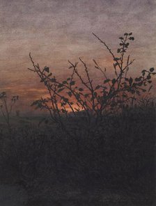 Blackthorn (?) in front of a Landscape at Sunset, 1864. Creator: Leon Bonvin.