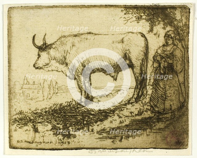 The White Ox, 1905. Creator: Donald Shaw MacLaughlan.