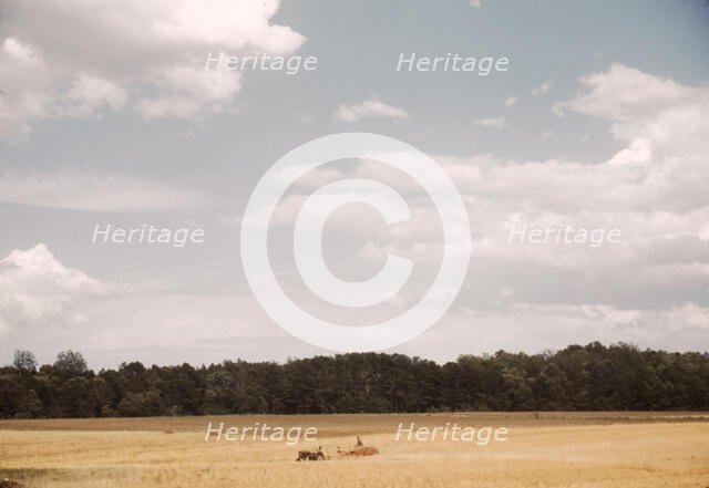 Field with farm equipment in distance, between 1941 and 1942. Creator: Unknown.